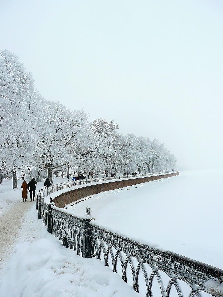 雪, 冬, ロシア, サンクトペテルブルク, 寒さ, 天気, 自然, 建築, 造られた構造, 橋