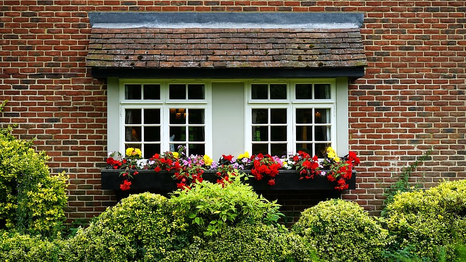 red, yellow, flowers, window, green, bush, house, home, house window, architecture