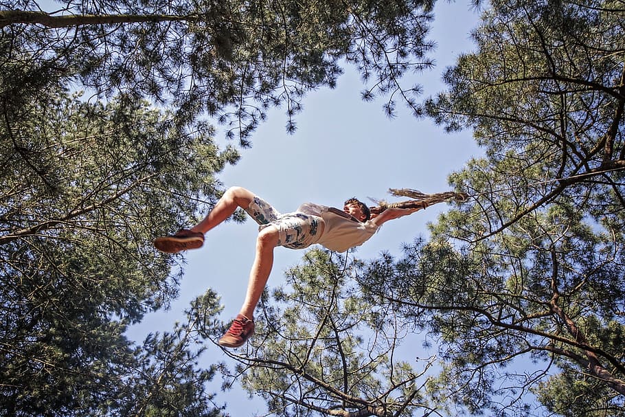 Trees, Rope Swing, Swing, Low, Low Angle, Looking Up, swinging, rope, nature, summer, swing
