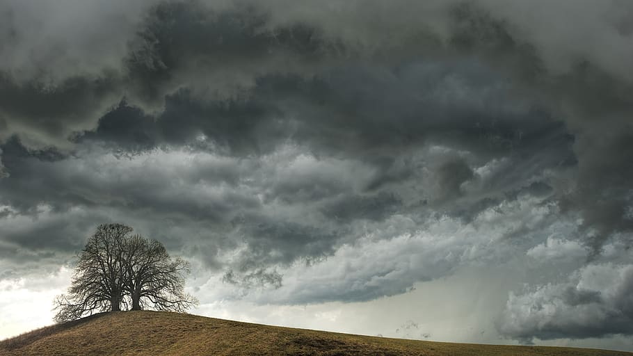 tree, weather, clouds, hill, mood, landscape, nature, sky, light, thunderstorm