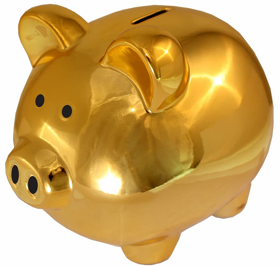 Gold Piggy Bank Golden Saving Sham Save Money Pig Save Money