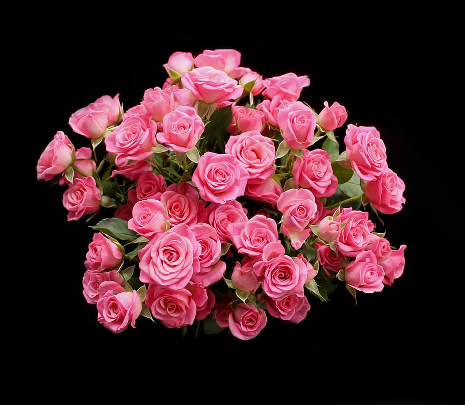 bouquet, pink, roses, pink saturday, red, flowers, romance, beautiful, nature, rose - Flower