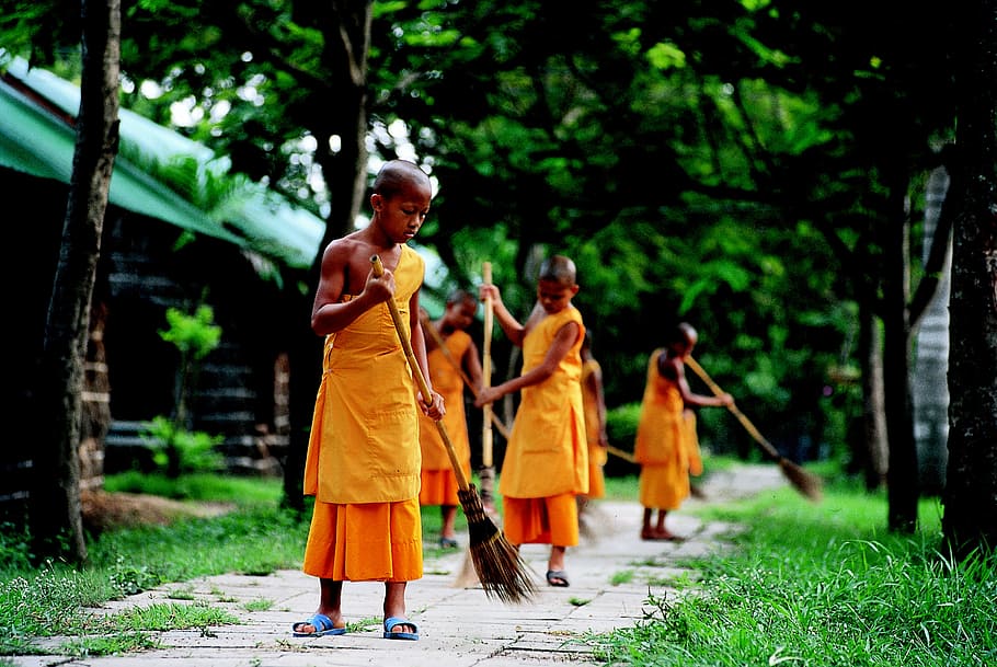 bocah, kuning, tradisional, pakaian, novis, buddha, pekerjaan, wat, phra dhammakaya, kuil