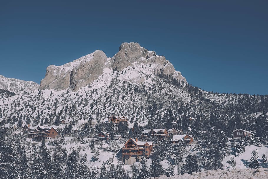 brow houses, hill, surrounded, trees, mountain, landscape, peak, summit, snow, pines