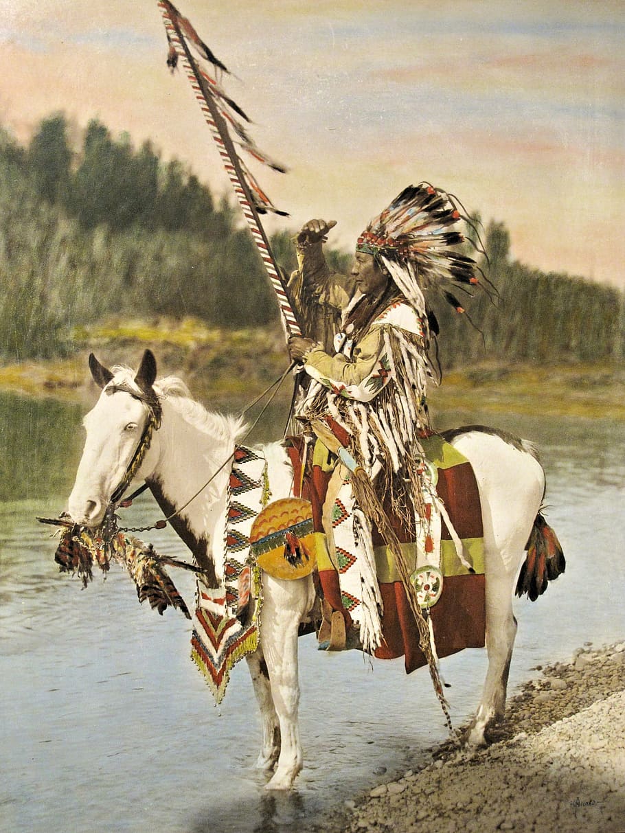 asli, amerika, berkuda, kuda, asli india, lukisan cat minyak, alberta canada, seni, museum, hewan