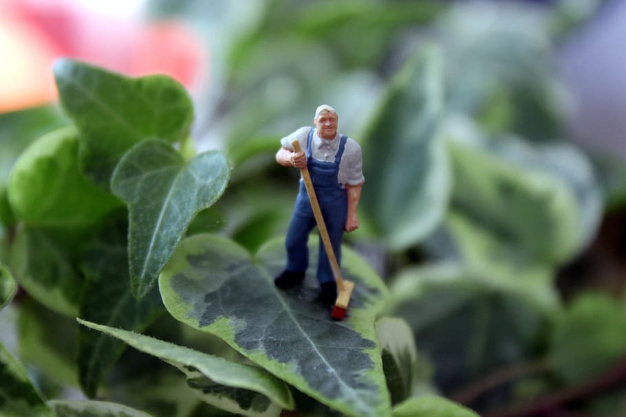 miniatures, miniature photography, ivy, janitor, sweep, toys, leaf, plant part, full length, nature