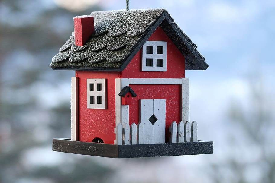 shallow, focus photography, red, white, house, hanging, decoration, outdoors, birdhouse, winter