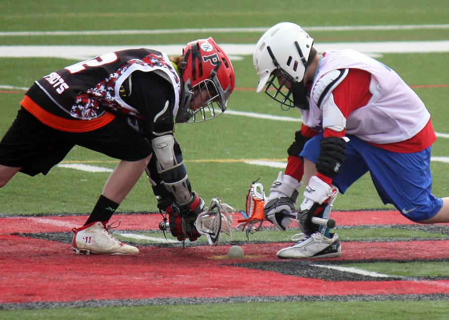 Lacrosse, Player, Face-Off, Team Sport, team, sport, game, field, lax, fall