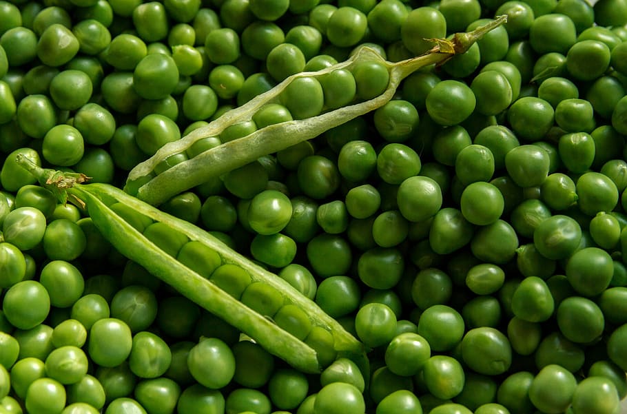 green, peas, closeup, photography, textures, background, fresh, seed, organic, farming