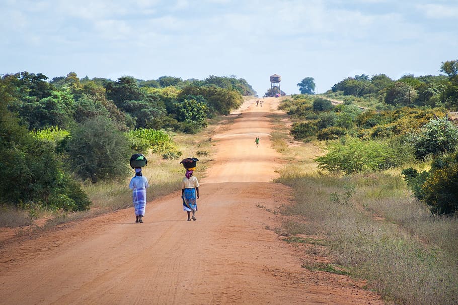 woman, walking, pathway, daytime, african women walking along road, sand road to mapai, african scene, africa, mozambique, plant