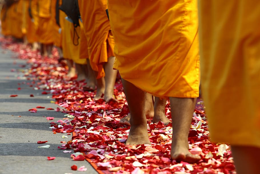people, stepping, debris, walk, buddhists, monks, tradition, ceremony, thailand, thai