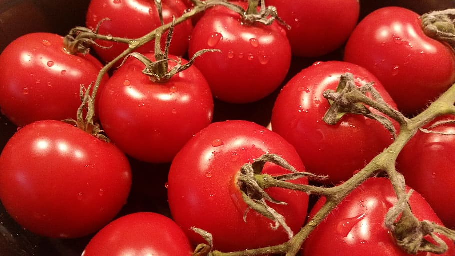 tomatoes, red, vegetables, food, healthy, vegetarian, frisch, kitchen, cherry, tomato plant
