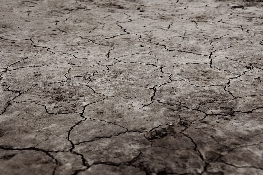 brown dried soil, drought, arid, background, climate, desert, dirt, dry, earth, environment