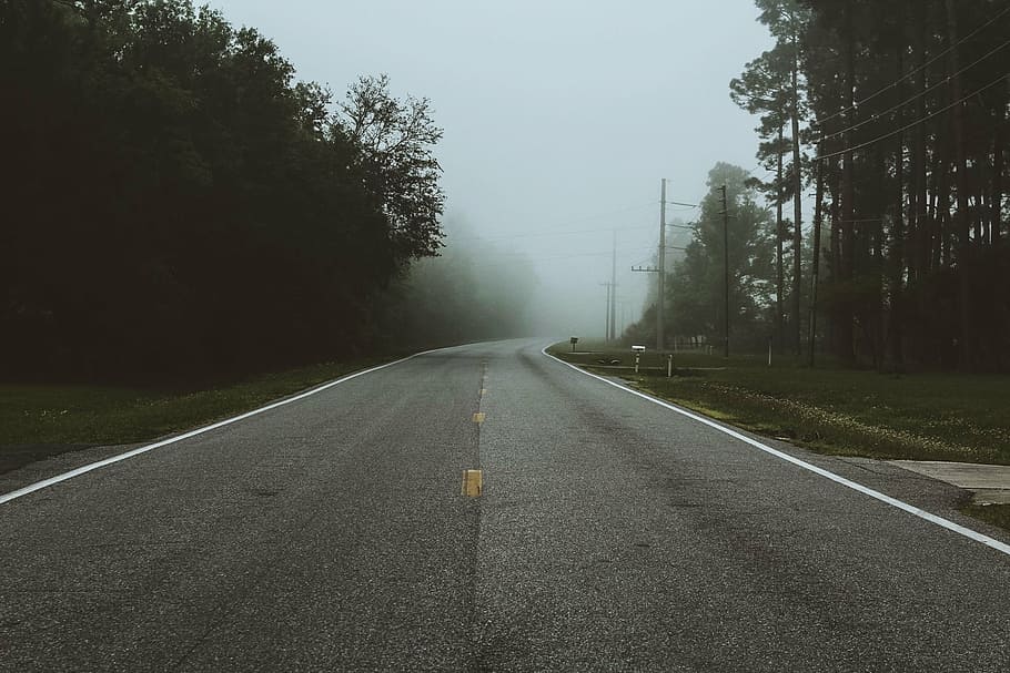 asphalt road, covered, mist, empty, road, trees, street, adventure, vacation, trip