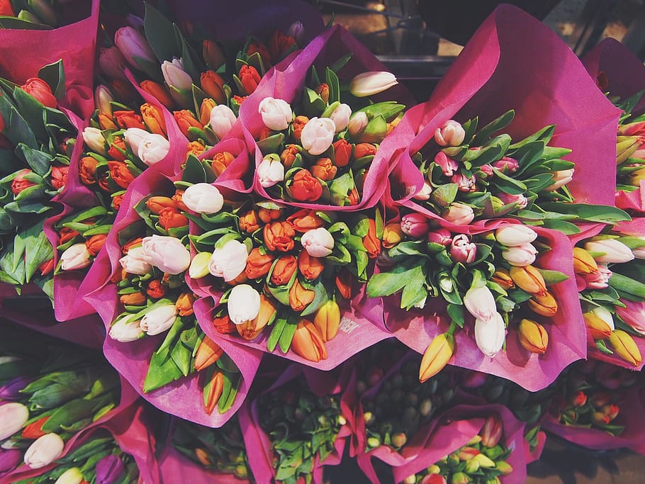 tulips, flowers, bouquet, easter, flowering plant, flower, beauty in nature, vulnerability, freshness, plant
