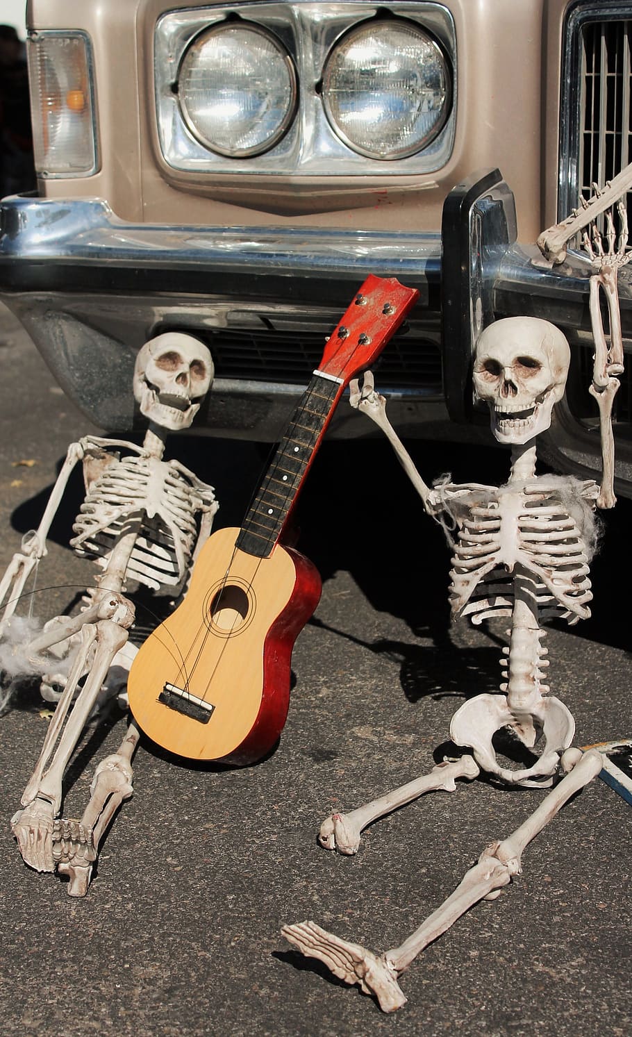 ukulele beside skeletons, Skeletons, Dia De Los Muertos, afterlife, mexican holiday, muertos, folklore, singing dead, mexican tradition, death