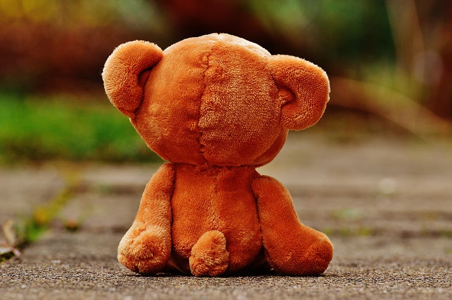 bear, teddy, lonely, love, longing, miss, soft toy, stuffed animal, brown bear, children