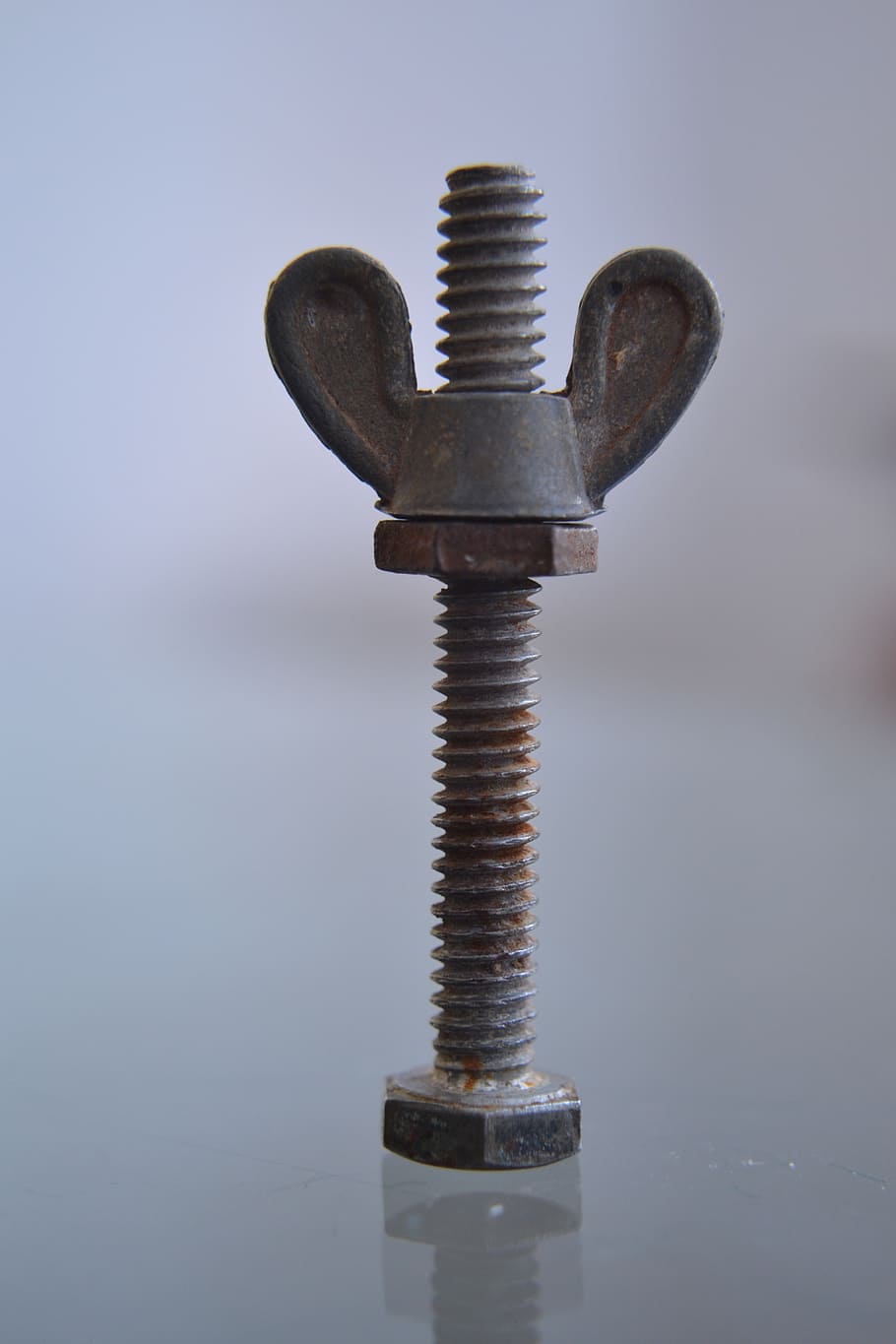 screw, wing nut, spiral, tool, useful, joinery, utility, work, mobile, carpenter