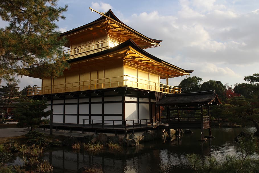 golden pavilion temple, autumn, kyoto, built structure, architecture, building exterior, tree, water, building, plant