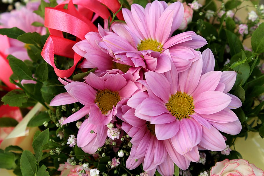 gerberas, bouquet, flowers, pink flowers, colored, gerbera, decorative, figure, nature, flowering plant