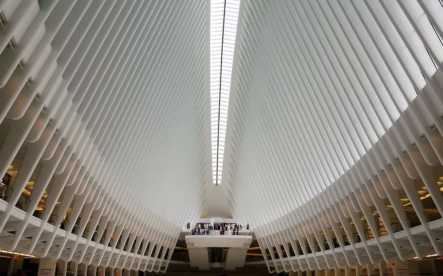 oculus, Manhattan, Amerika Serikat, Arsitektur, Stasiun kereta, dengan melihat, rusuk baja, nyc, newyork, wtc