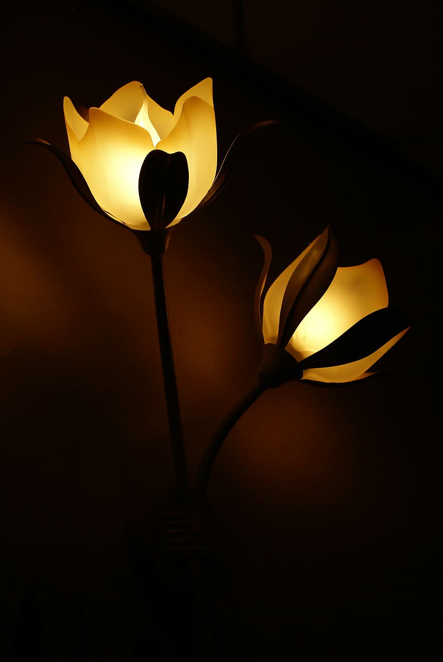two, yellow, lighted, flower lamps, lamp, flower, light, lamps, lighting, dark