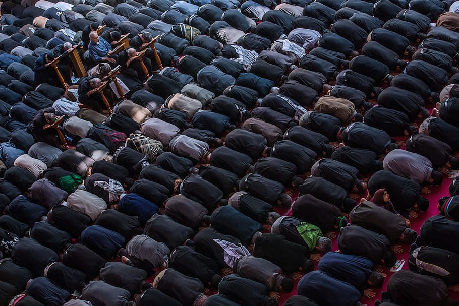 muchos, audiencia, personas, grupo, musulmanes, rezan, en una fila, grupo de personas, vista de ángulo alto, multitud