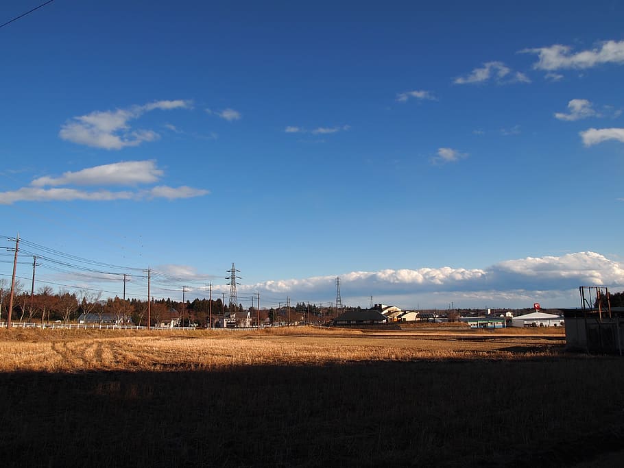 Inverno, Yamada, Campos de Arroz, campos de arroz da yamada, campo, céu azul, arrozal, paisagem, japão, tranquilidade