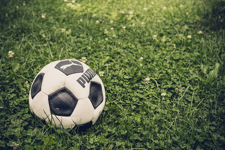 football, puma, old football, age football, rush, meadow, soccer, vintage, grass, ball