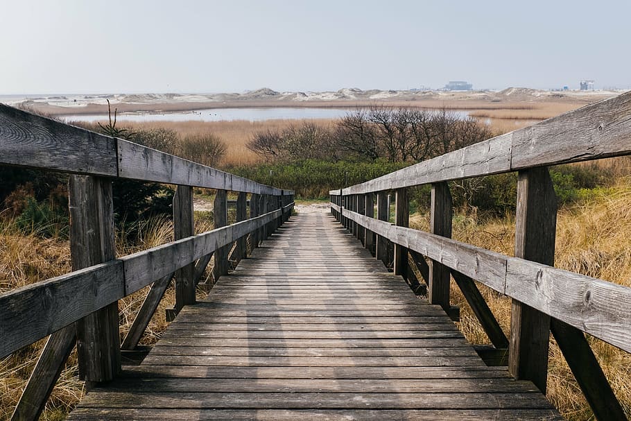 brown, wooden, bridge, surrounded, grass, gray, wood, stairs, railing, bushes
