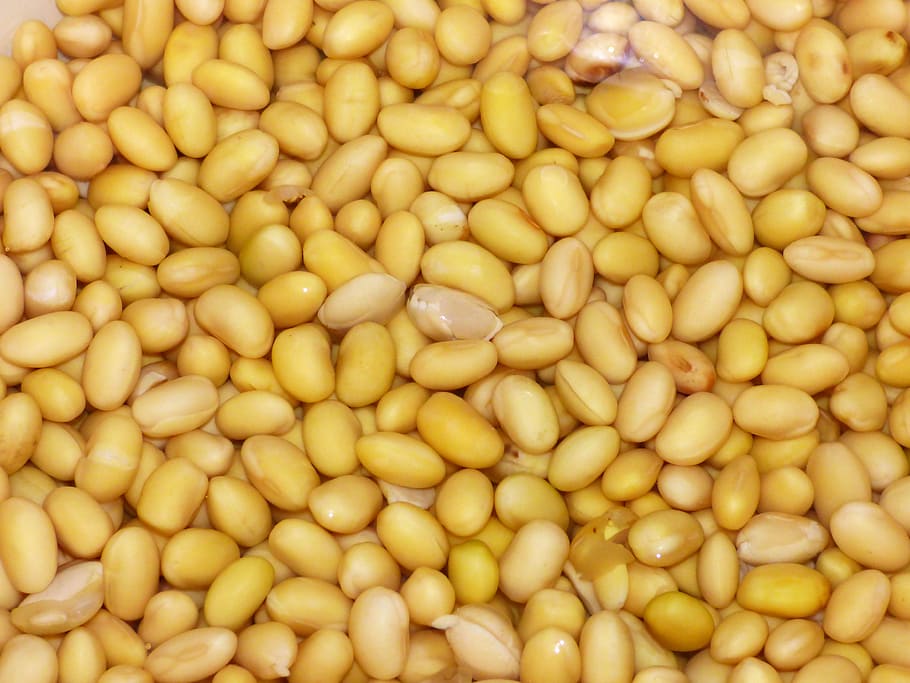 yellow bean lot, Soy, Beans, Yellow, Vegetables, soy, beans, background, food and drink, full frame, backgrounds