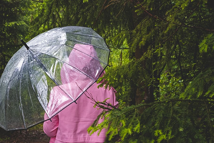 umbrella, transparent, woman, forest, nature, rain, wet, raindrop, bad weather, person