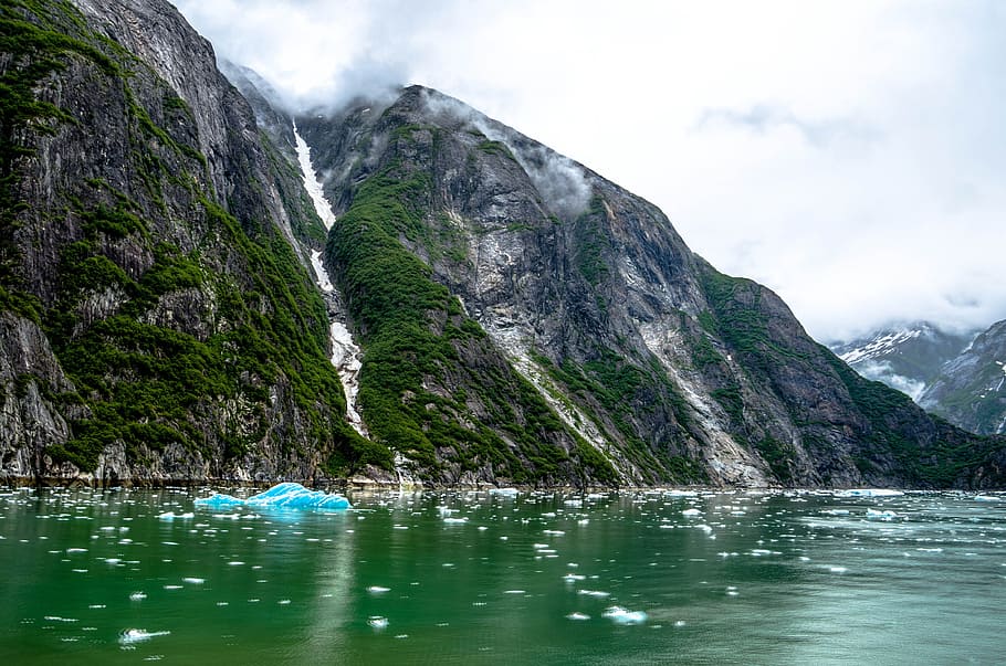 hijau, tubuh, air, pegunungan, tracy arm fjord, alaska, juneau, indah, salju, batu