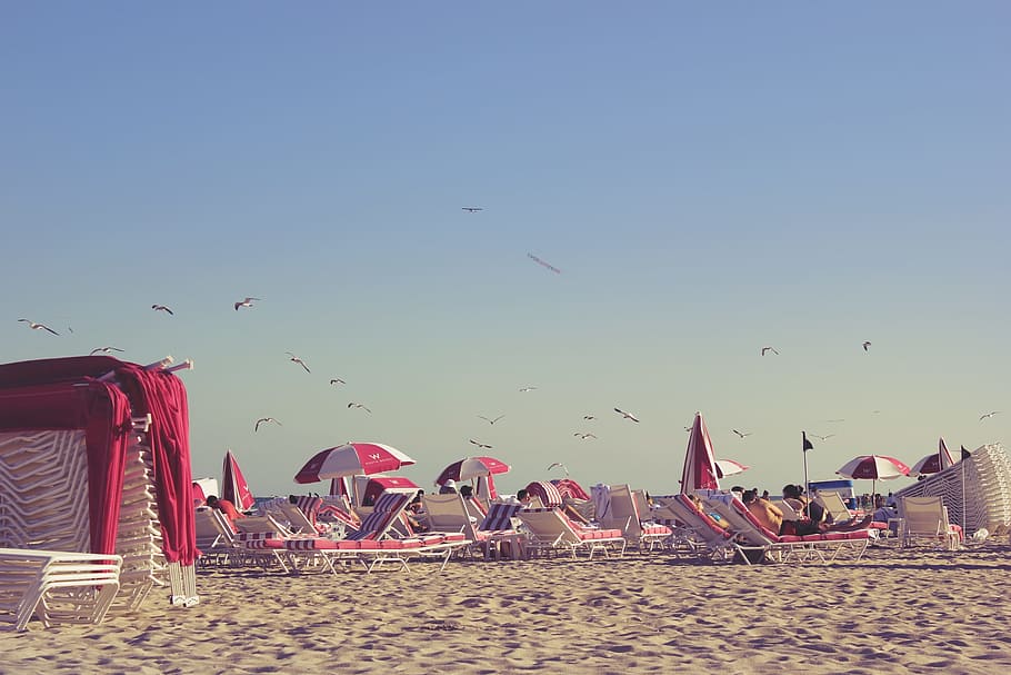 Praia, Miami, Aves, verão, céu, dias de festa, férias, paz, guarda-chuva, sombrinha