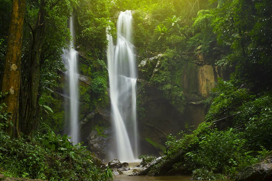 waterfall, water, forest, nature, landscape, river, green, rock, cascade, travel