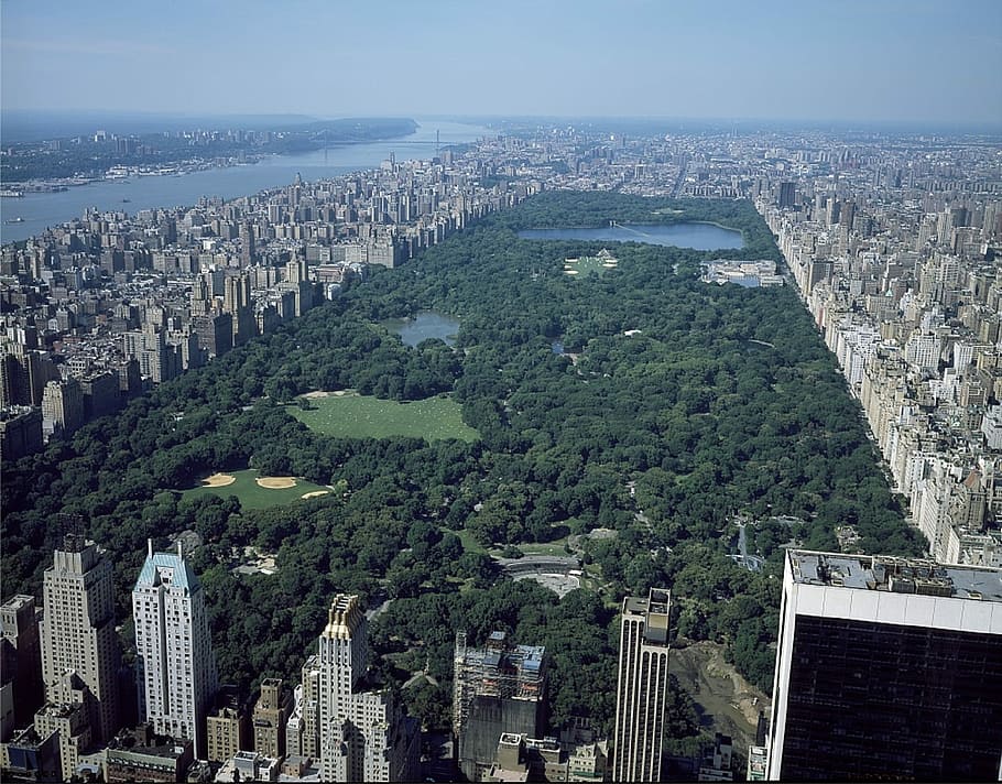 visão geral do central park, central park, visão geral, parque, central, manhattan, linha do horizonte, vista, marco, cidade de nova york