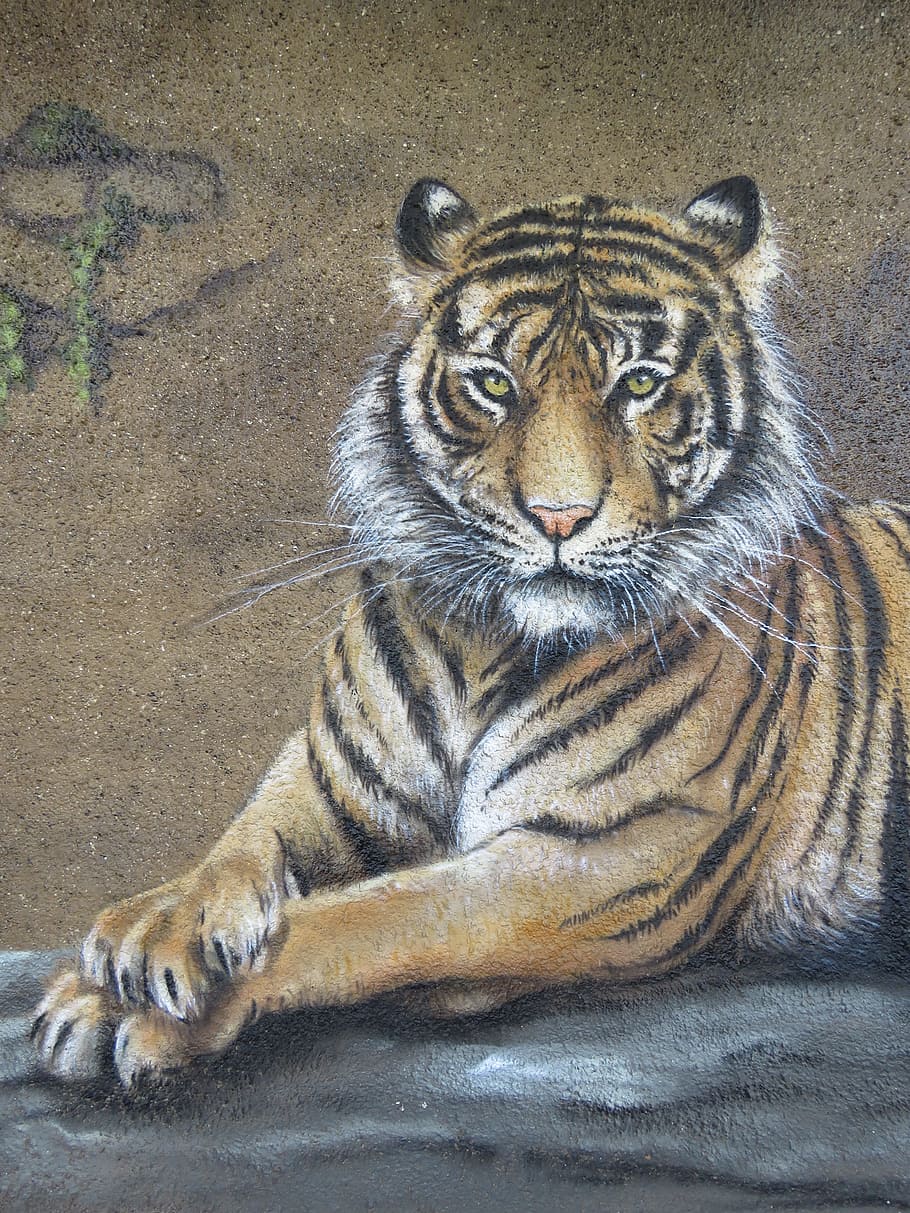 tiger, wall art, wall, zoo, berlin, lichtenberg, germany, animal, nature, wildlife photography