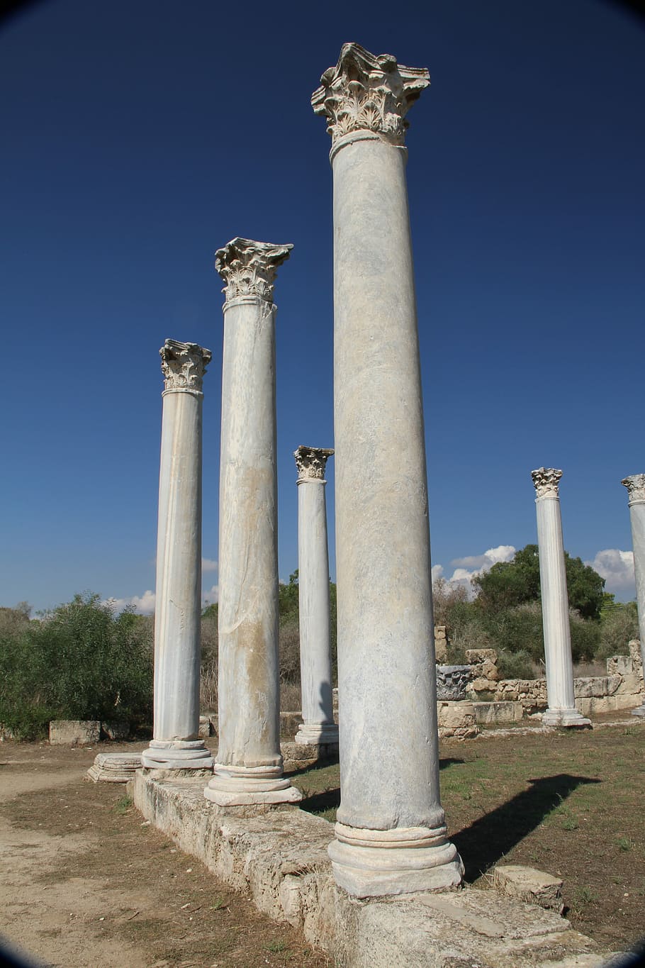 Salamina, Romano, Antiga, Chipre, Coluna, ruínas, turista, local, arqueológico, sombra