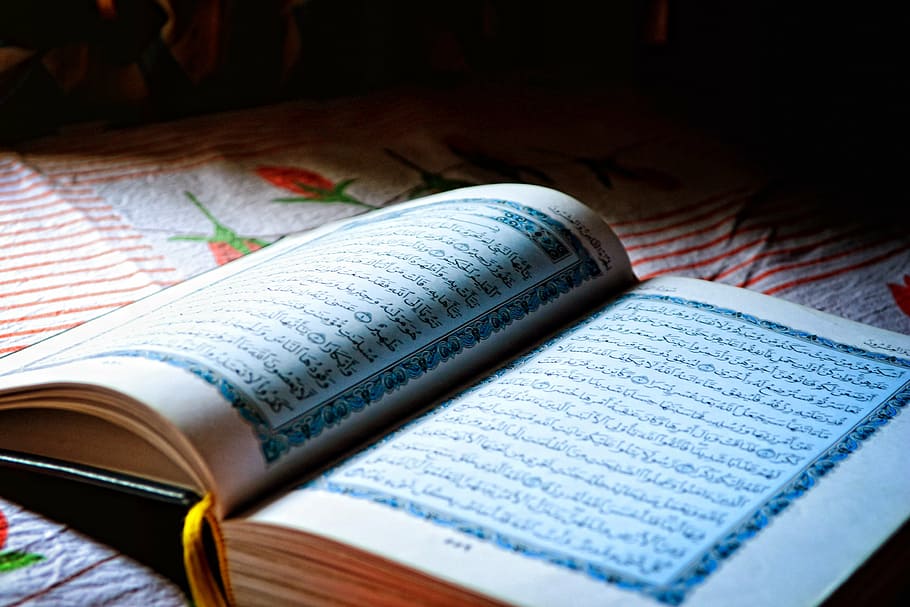 halaman buku, quran suci, ramadan, suci, bulan, buku terbuka, arab, muslim, islam, agama