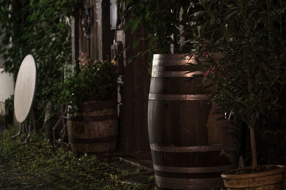 Barrel, Restaurant, Night, Table, Ivy, plants, green, city, outdoors, no People