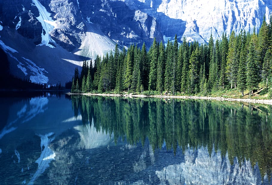 crystal clear reflections, mountains, evergreens, snow, water, tree, reflection, beauty in nature, scenics - nature, plant