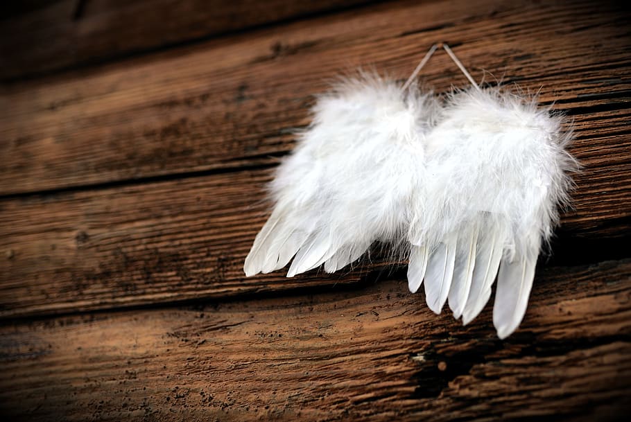 pluma, ala, alas de ángel, madera, madera vieja, motivo de navidad, ángel, navidad, color blanco, madera - material