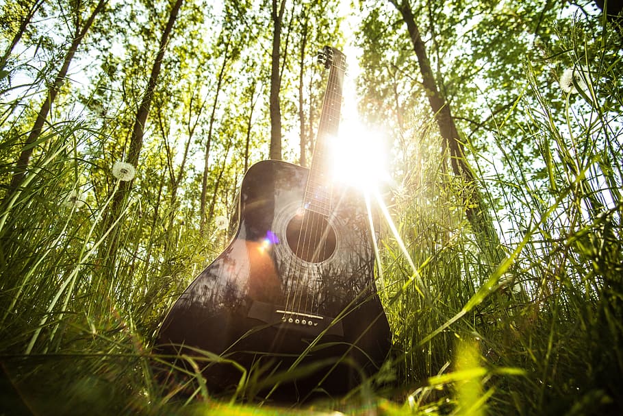 acoustic, guitar, musical, instrument, music, chords, grass, acoustic guitar, musical instrument, nature