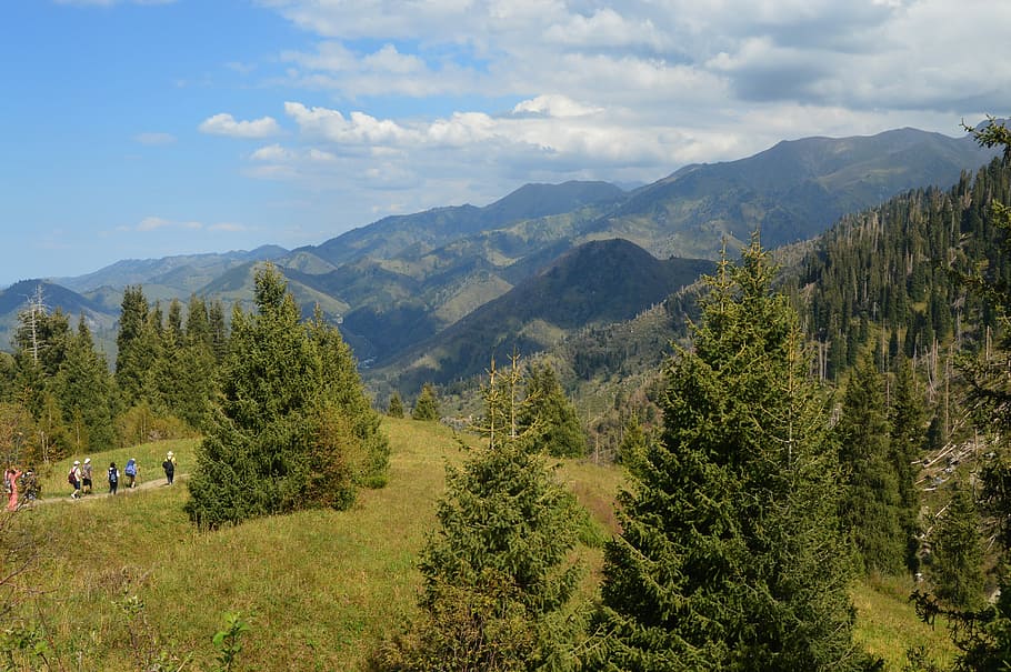 Almaty, Natureza, Montanha, paisagem, árvore, cordilheira, dia, plantar, paisagens - natureza, beleza na natureza