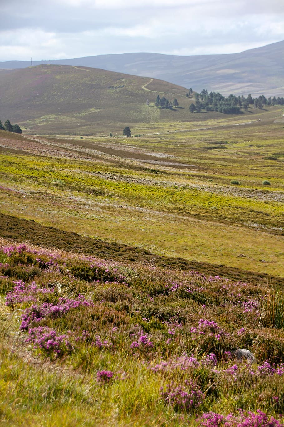 scotland, landscape, meadow, green, grass, erika, clouds, highlands and islands, mystical, nature