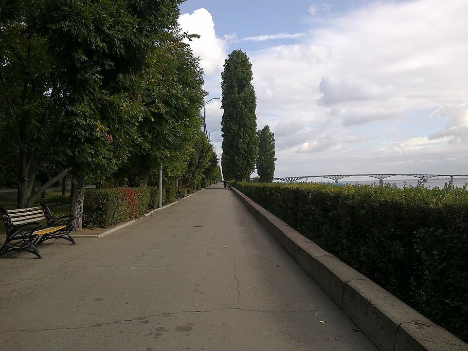 Quay, Saratov, Vista, Verde, Cielo, verano, en el verano de, árbol, sin gente, al aire libre