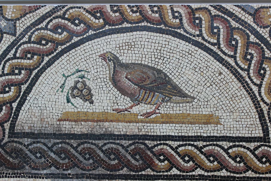 antique, mosaic, rome, vestige, archaeology, st-roman-en-gal, bird, representation, animal representation, art and craft