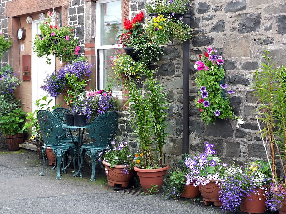 assorted-color petaled flowers, potted plants, house, home, cottage, brick, stone, flowers, pots, foliage