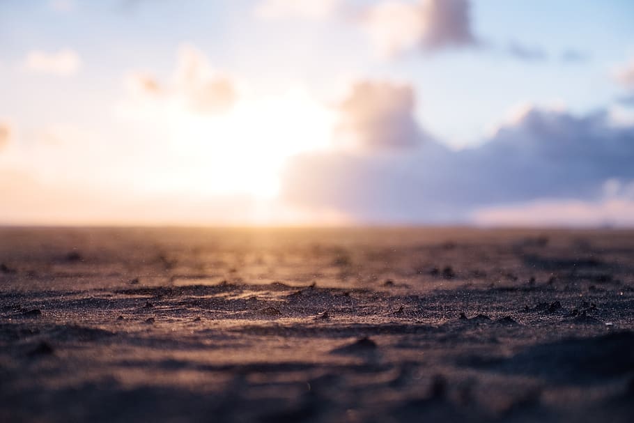 arena, playa, orilla, horizonte, desenfoque, puesta de sol, nubes, cielo, naturaleza, medio ambiente