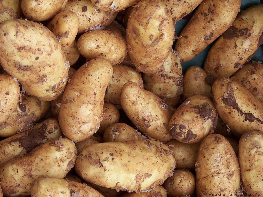 pile of potatoes, potatoes, vegetables, food, agriculture, freshness, food and drink, potato, vegetable, full frame